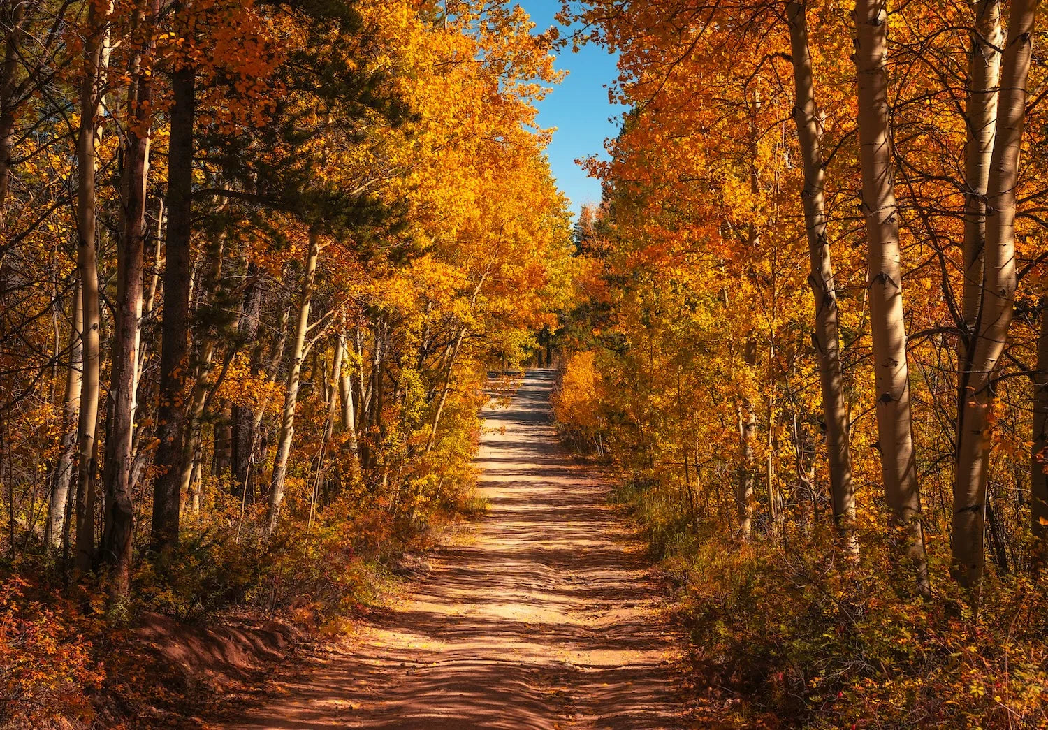 fall nature activities kids
