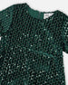 Velvet Short Sleeve Dress Forest Green - H20OG85_393