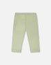 Organic Cotton Jersey Capri Light Khaki Green - H30F60_03910