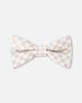 Bow Tie White And Sand Check - H30RNP_3H214
