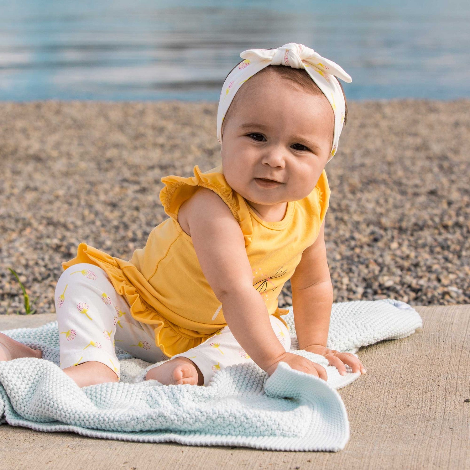 A Dragonfly On A Cotton Ball