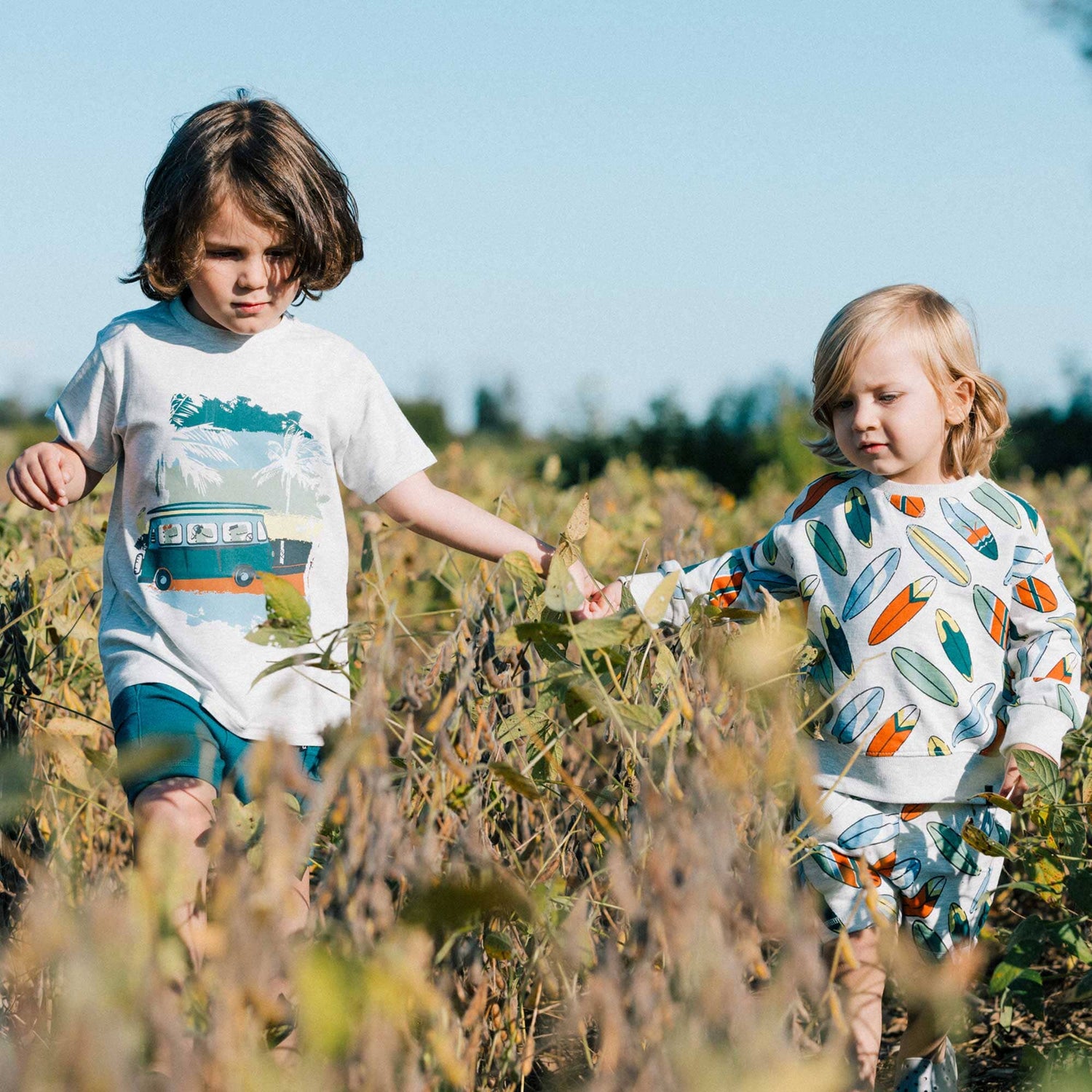 Surf In A Silver Sand
