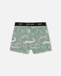 Printed Organic Cotton Boxer Shorts Light Sage And Gray Crocodile - G30PB60_043