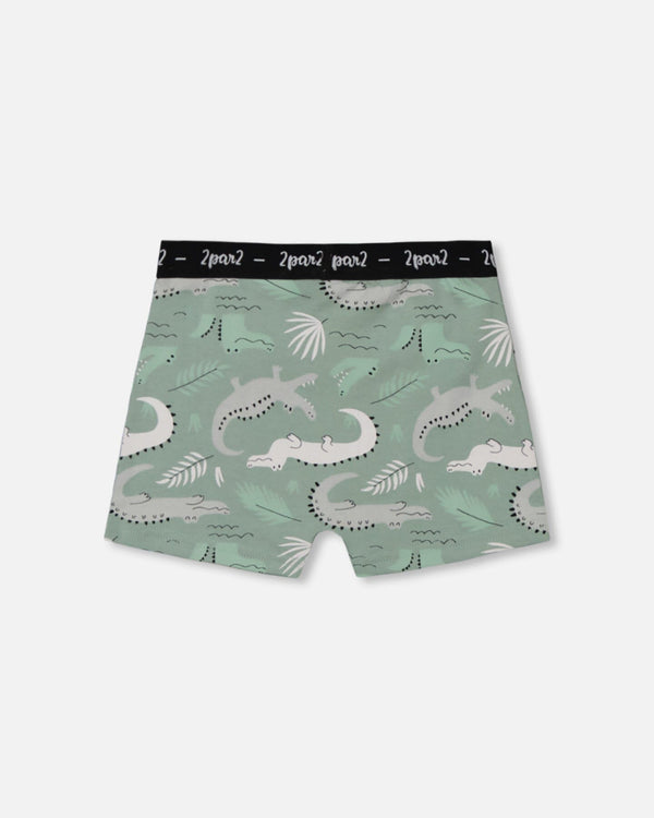 Printed Organic Cotton Boxer Shorts Light Sage And Gray Crocodile - G30PB60_043