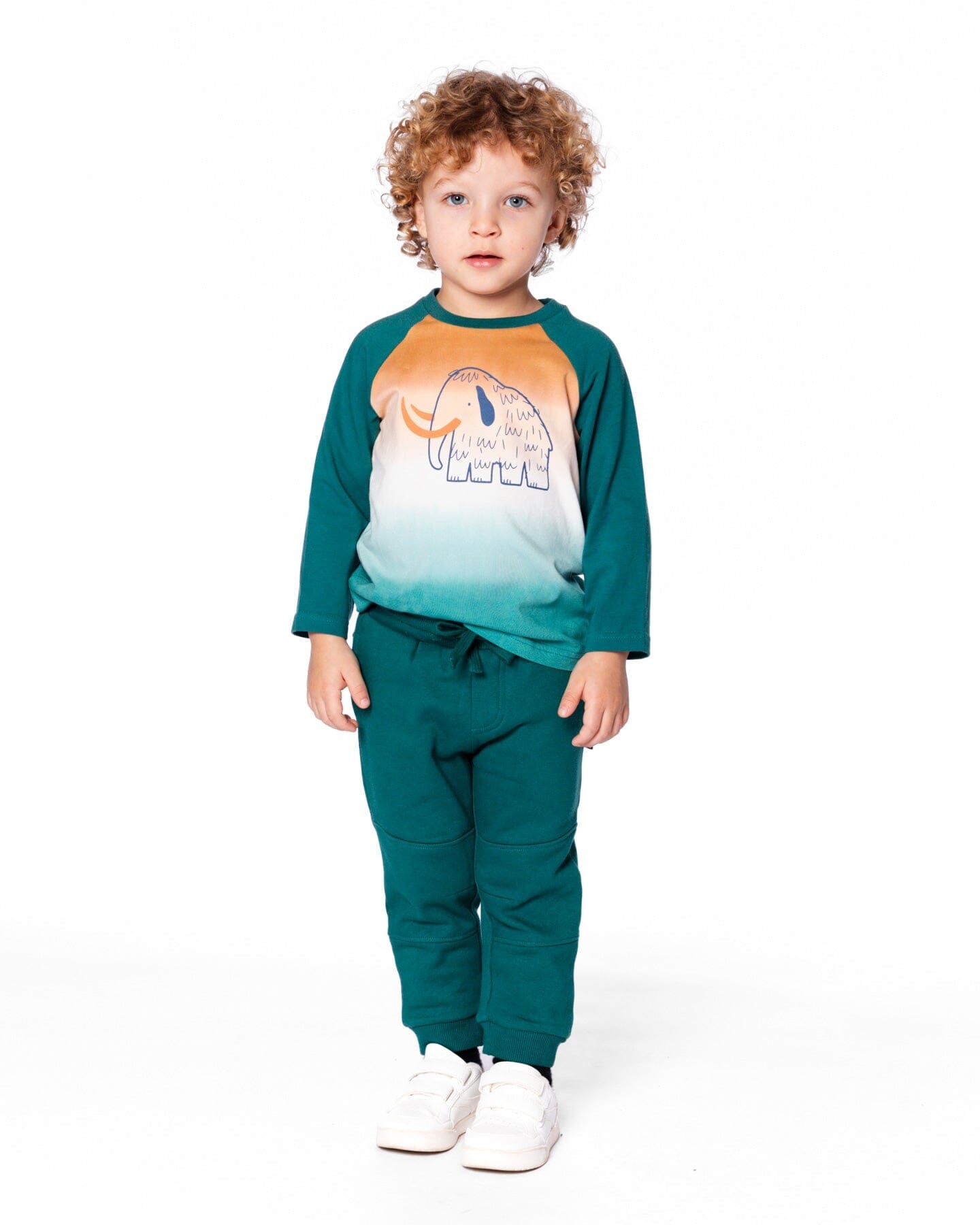 Organic Cotton Jersey Raglan Sleeve T-Shirt Forest Green - H20S67_548