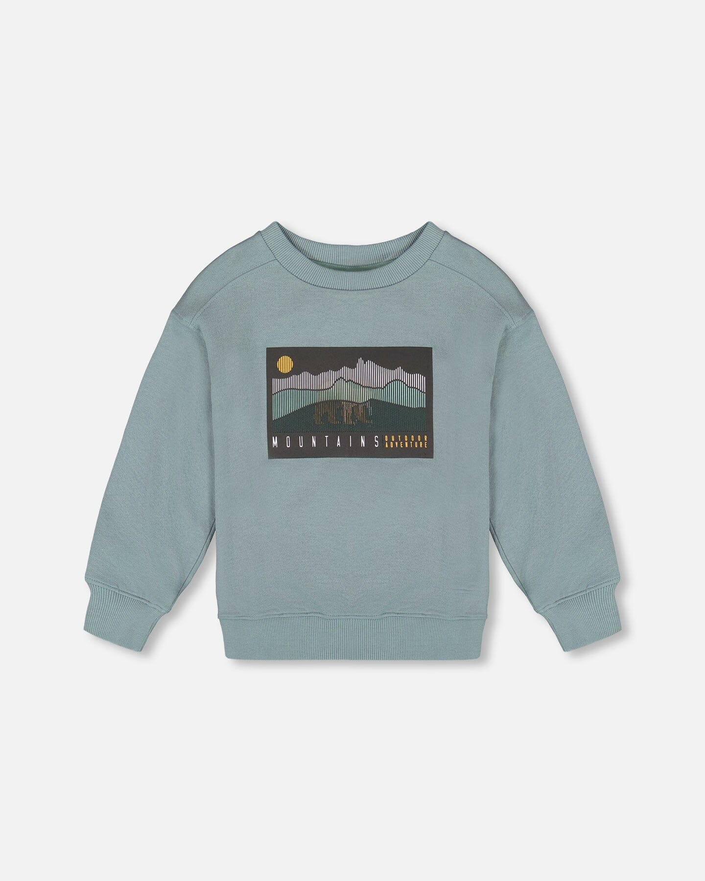 Animated Print French Terry Sweatshirt Sage Green - H20U36_478