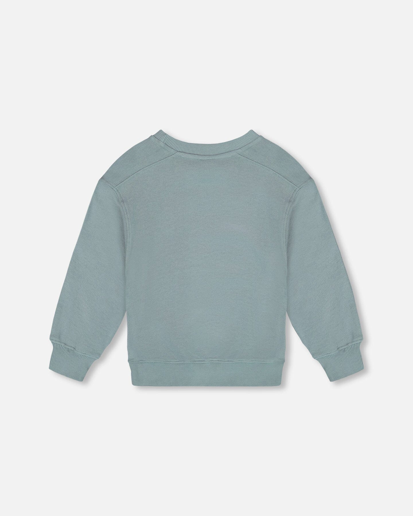 Animated Print French Terry Sweatshirt Sage Green - H20U36_478
