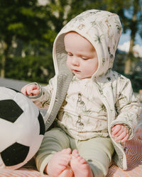 Organic Cotton Jersey T-Shirt And Cotton Rib Pants Set Beige Zebra Print And Sage Green - H30C14_3H054