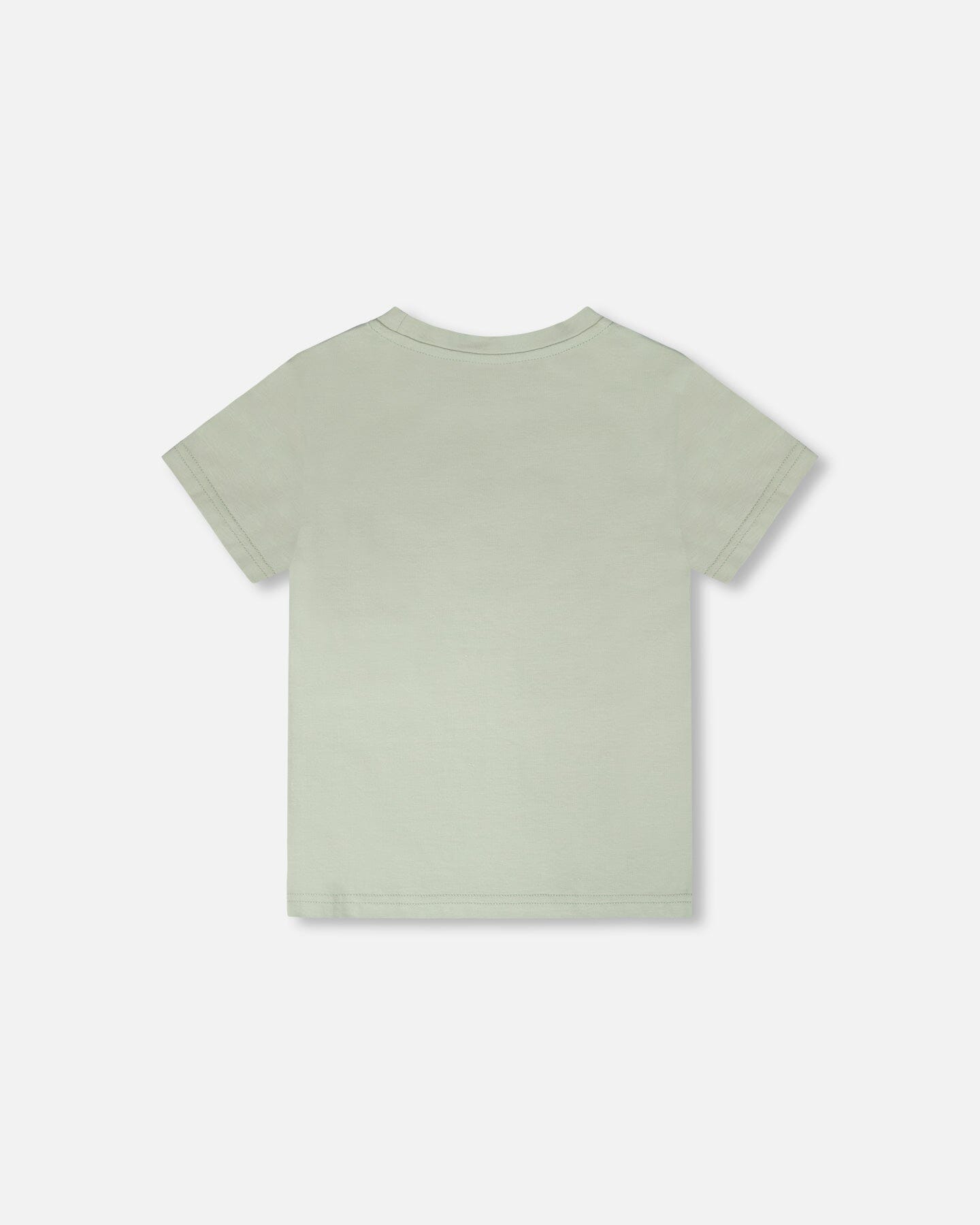 Organic Cotton Jersey T-Shirt With Print Sage - H30U75_03002